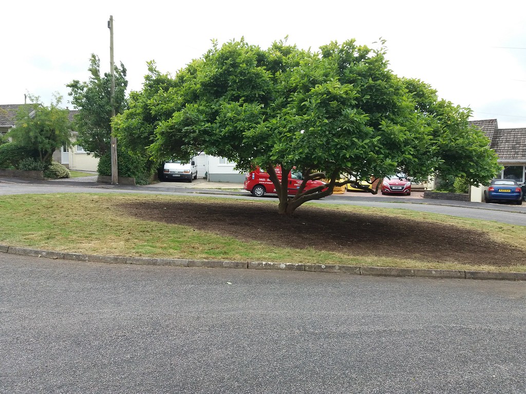 Bowden Rd Ipplepen After VE Day celebrations it was decide… Flickr