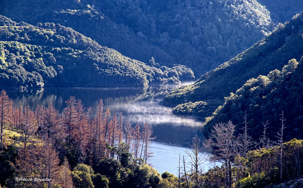 Maitai Dam, mist rising on the dam on a frosty morning. Flickr