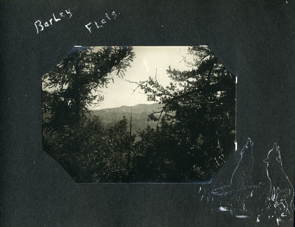 Ireland 078 Album page labeled 'Barley Flats' with forest … Flickr