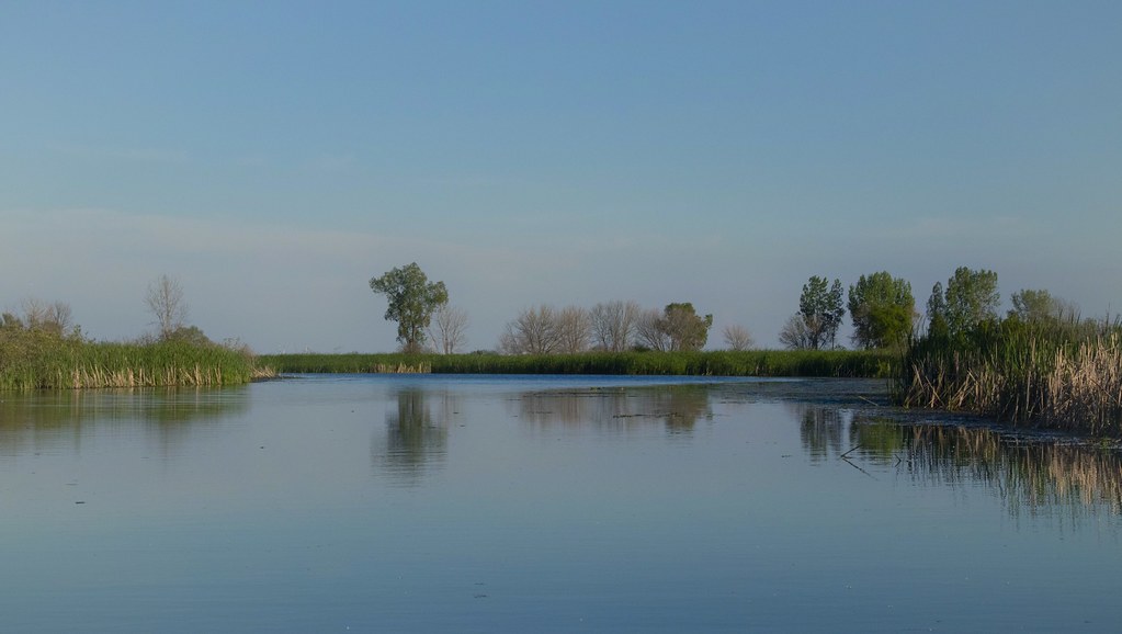 Saganing River Scene Standish Township, Michigan ksblack99 Flickr