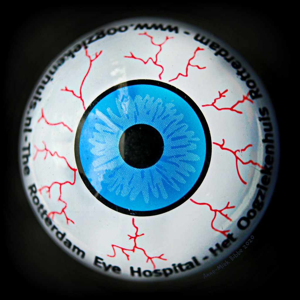 A WANDERING EYE OPEN OOG MacroMondays SQUARED CIRCLE… Flickr