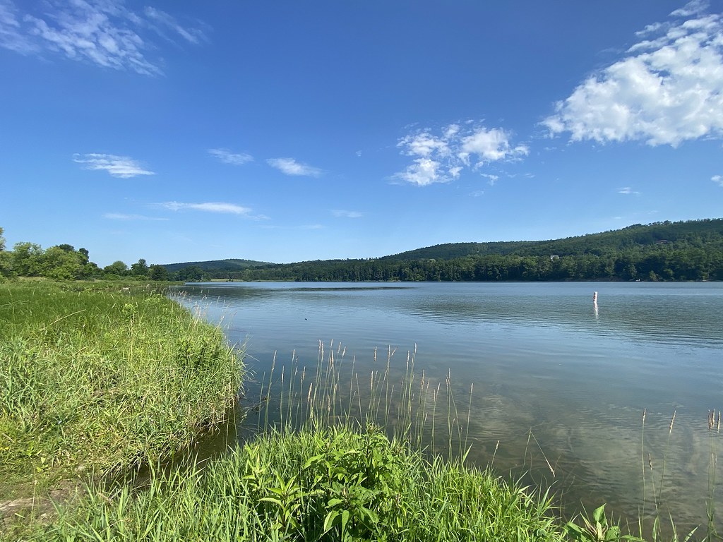 Cowanesque Lake A view of Cowanesque Lake in the South Sho… Flickr