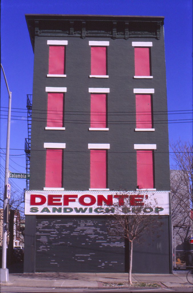 Delfonte Ektachrome 35mm film Last Brooklyn walk before