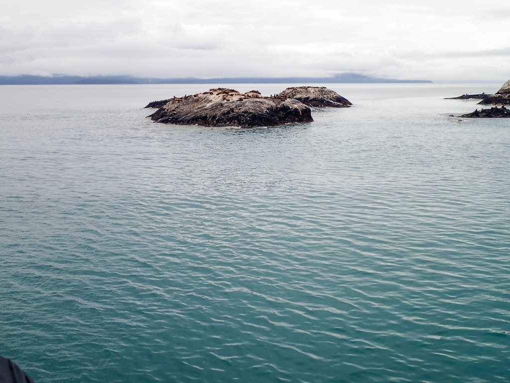 South Marble Island, Glacier Bay, Alaska Matt Zimmerman Flickr