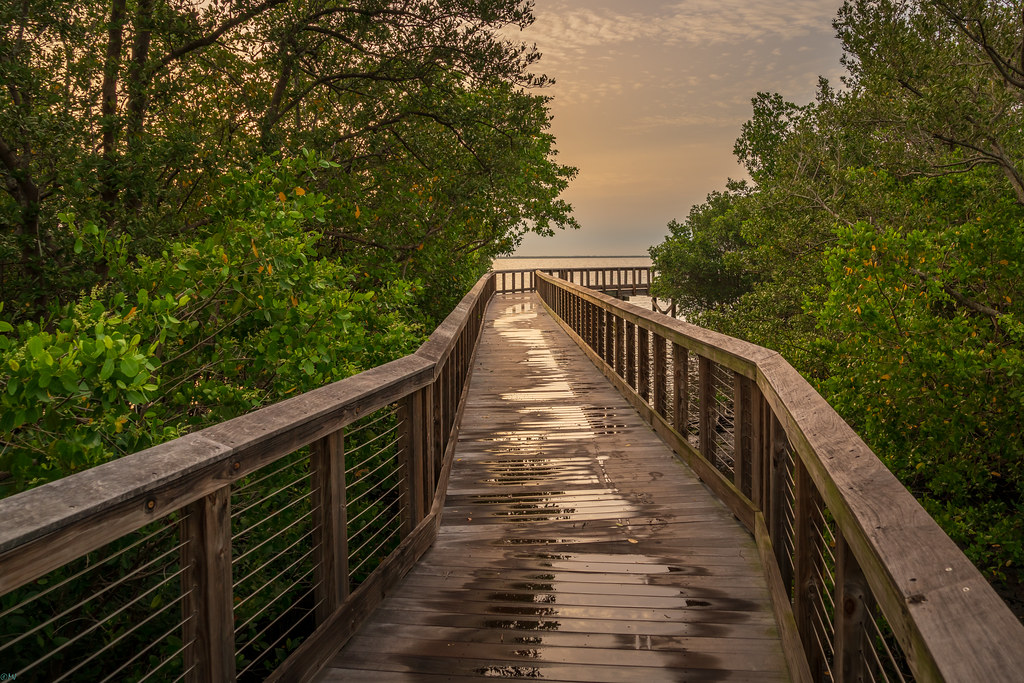 Let's go.. Safety Harbor Waterfront Park, Safety Harbor, F… Michal