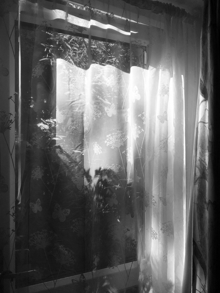 Most Morning Sunlight doonnuuoop Flickr