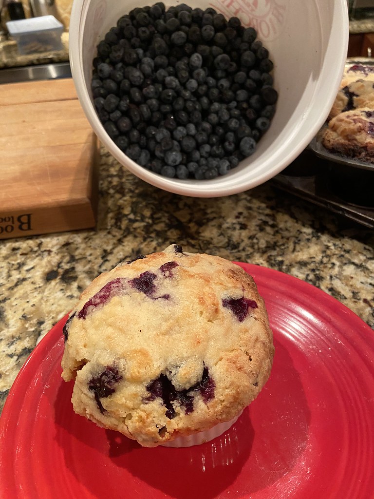From bucket to muffin Airbnb in Arnold, MD Adam Fagen Flickr