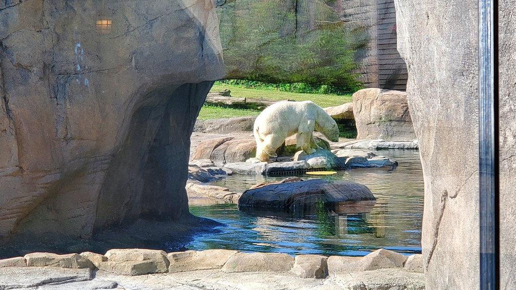 Columbus Zoo 07/08/2020 marada Flickr