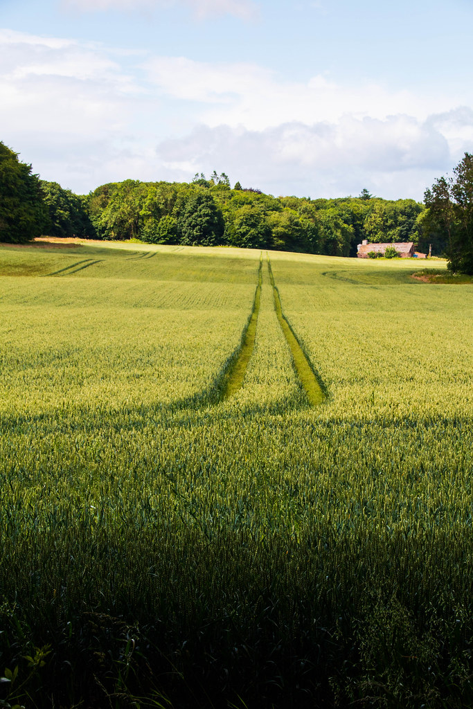 Raith Estate, Kirkcaldy Brian Wilson Flickr