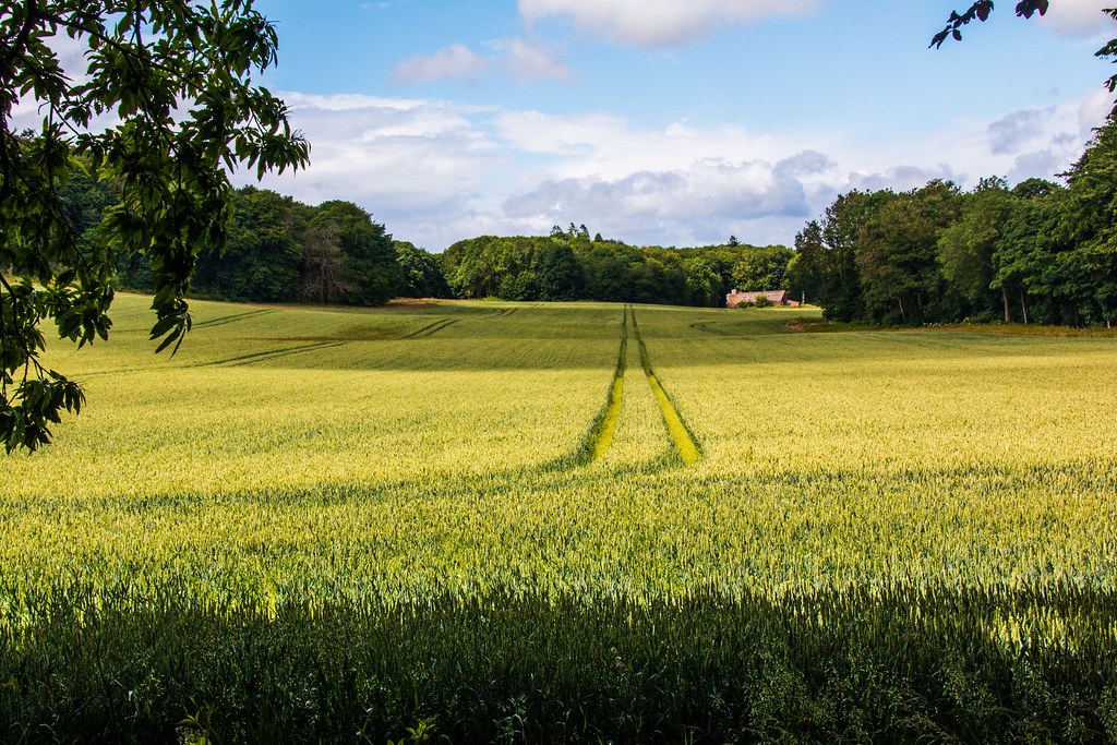 Raith Estate, Kirkcaldy Brian Wilson Flickr