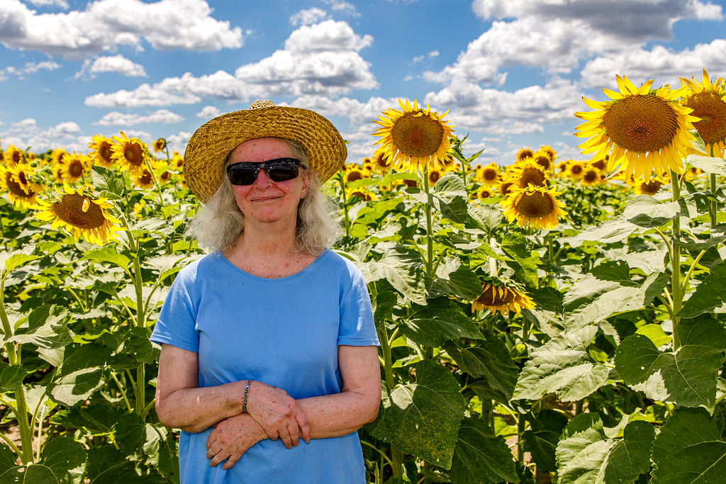Columbia Bottom Conservation Area Sunflowers Flickr