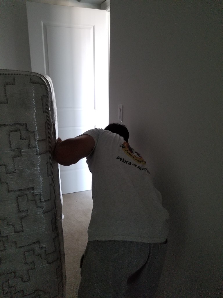 Zebra Movers Barrie Zebra Movers Barrie Flickr