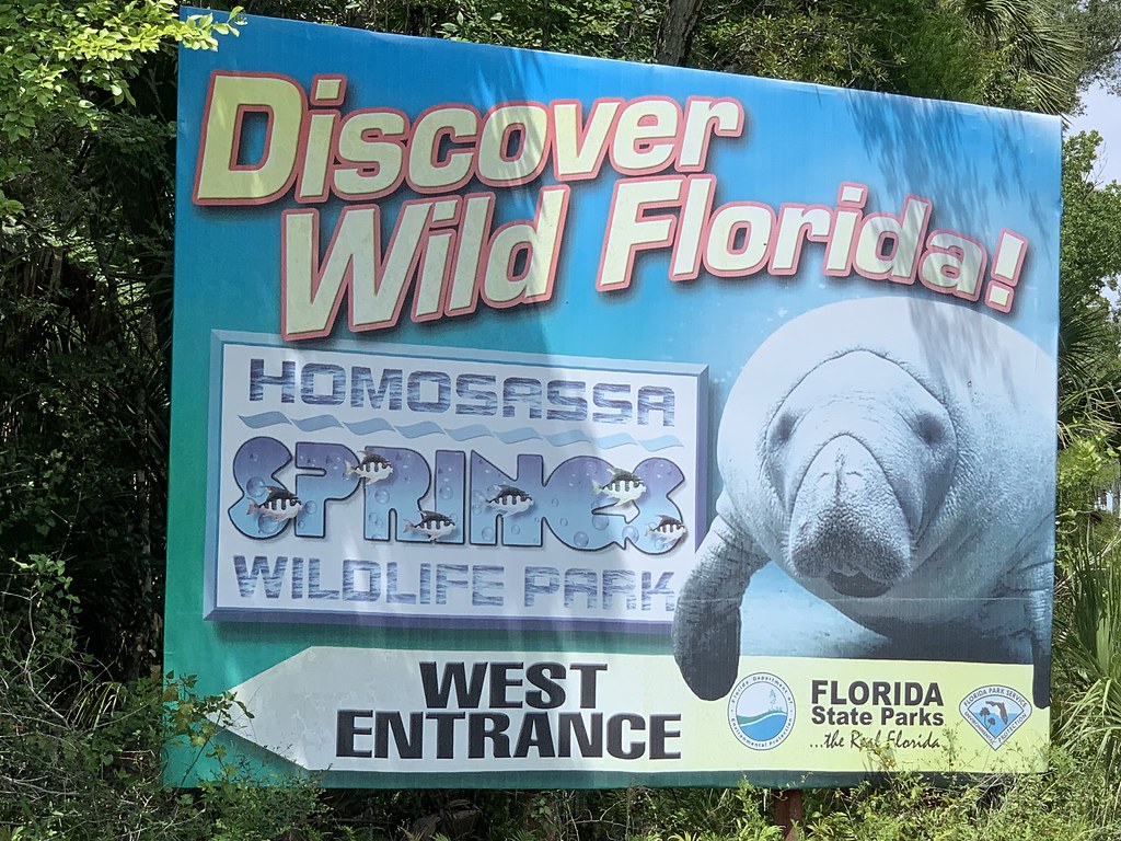 Land O Lakes, Brooksville, Pasco and Hernando Co FLORIDA Area Flickr