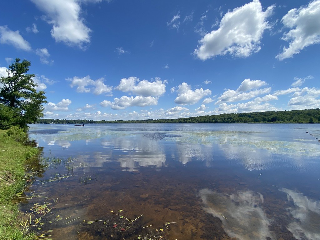 Elevation of Thornhurst Township, PA, USA Topographic Map Altitude Map