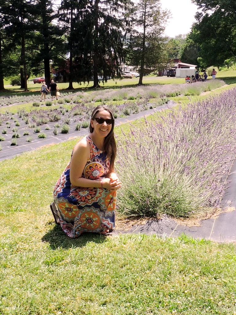 Peace Valley Lavender Farm The doll keeper Flickr