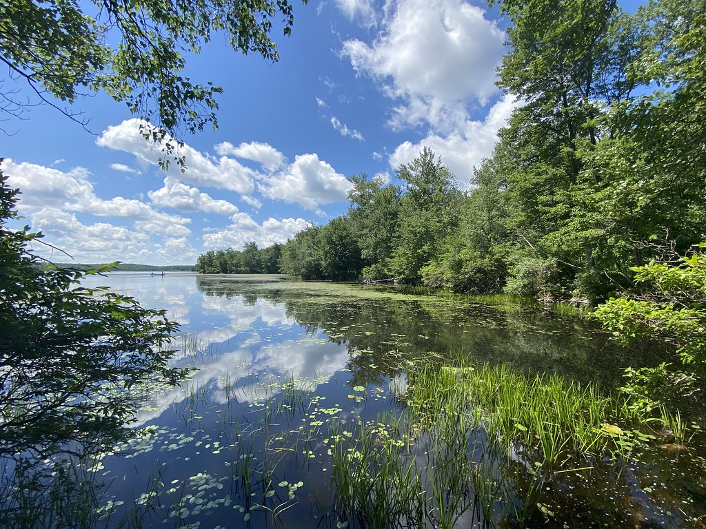 Elevation of Thornhurst Township, PA, USA Topographic Map Altitude Map