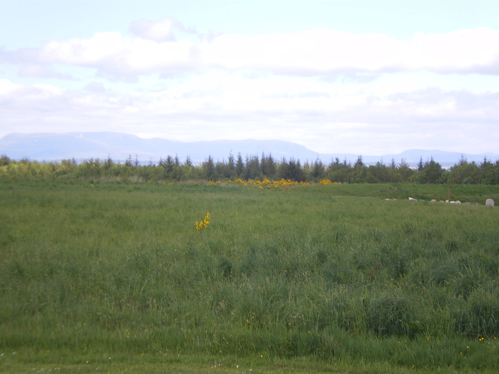 GAS at Culloden 2012 Flickr