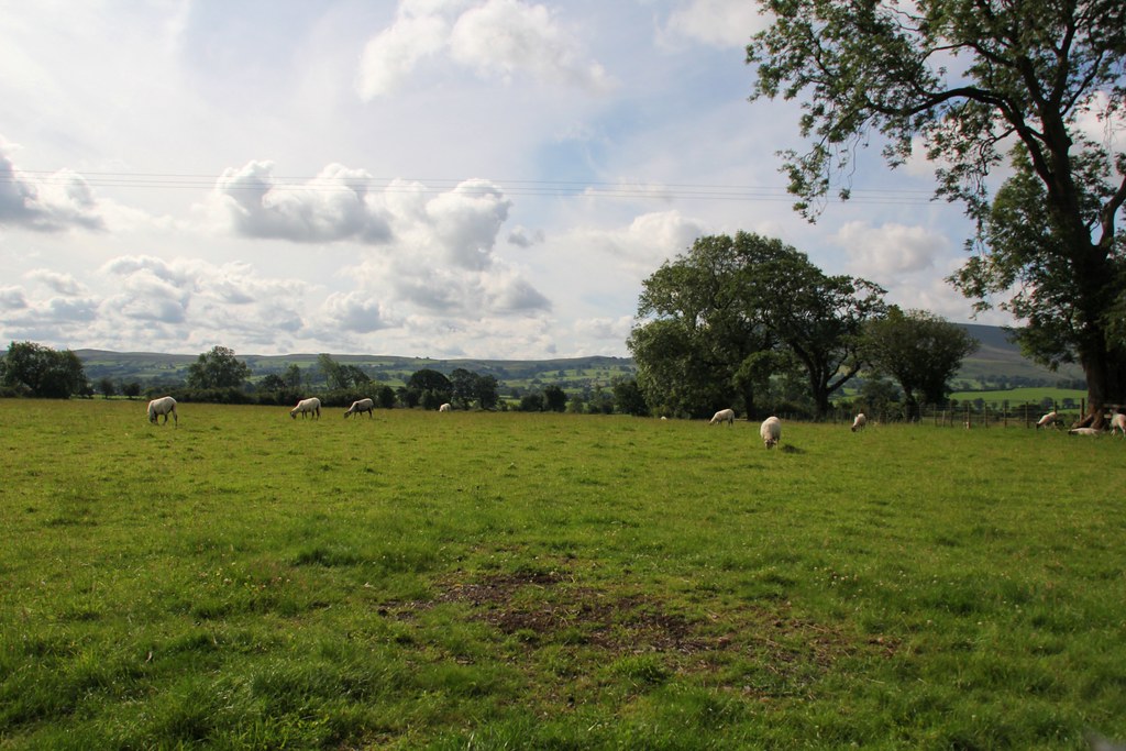 Looking South across the fields of Greenhead Farms at Old … Flickr