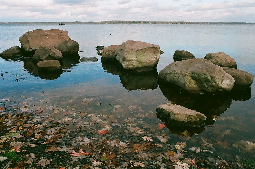fallen leaves 000083630001 Muskrat Bay Canon F1 Kodak Ekt… strictly analog Flickr