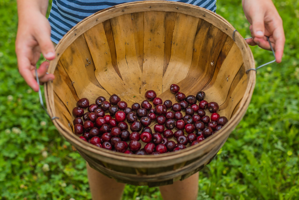 Rennie Orchards ( Jennifer ) Flickr