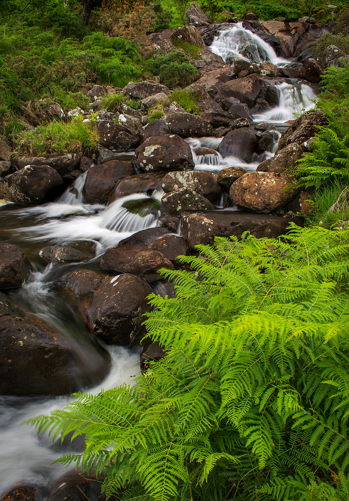 Bracken and falls Really like the series of s bends in thi… Flickr
