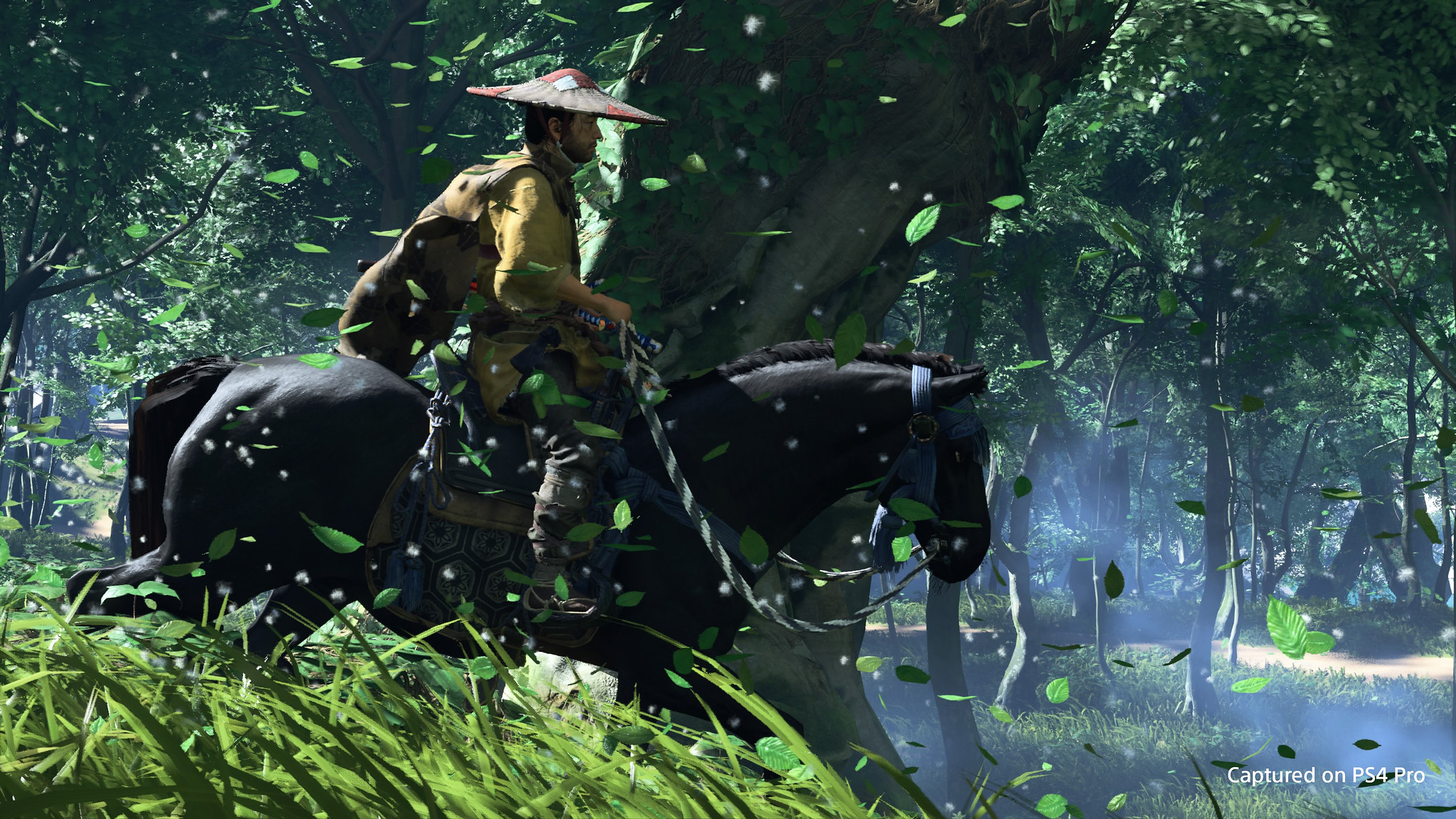 Ghost of Tsushima Photo Mode gallery and tips guide PlayStation.Blog