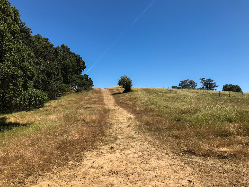 Woodland Trail Clint B Flickr