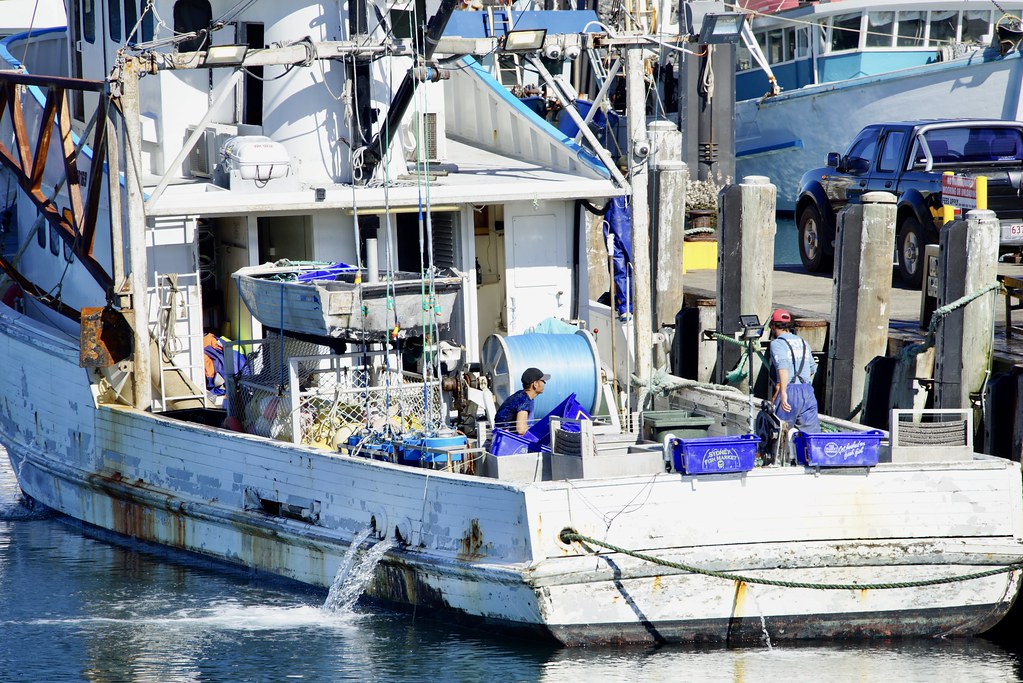 Fisherman's Boat Coffs Harbour International Marina Christine Lynch Flickr