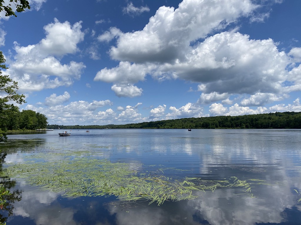 Elevation of Thornhurst Township, PA, USA Topographic Map Altitude Map