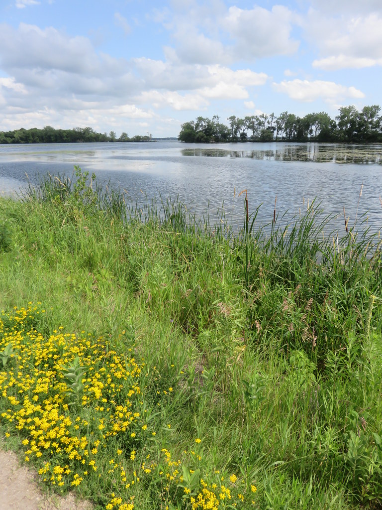 Elevation of Lakefield, MN, USA Topographic Map Altitude Map