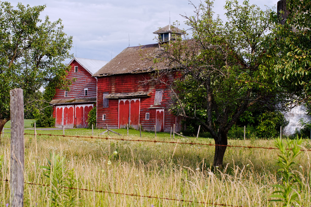 Red Barns Montgomery County, New York. SMC PentaxA 50mm f… Flickr