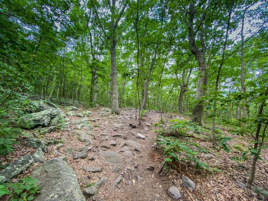Appalachian Trail Bluemont VA Appalachian Trail Bluemo… Flickr
