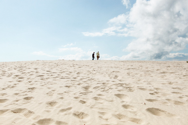 How to visit Råbjerg Mile Denmark's largest sand dunes Adventurous