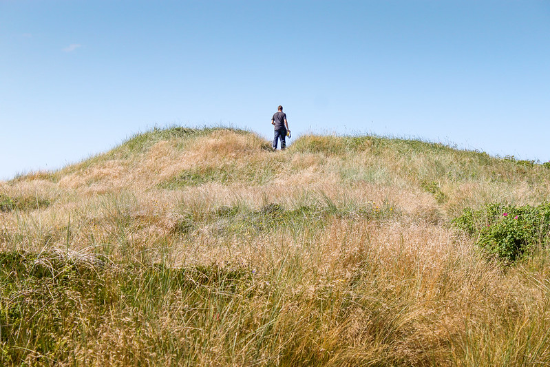 How to visit Råbjerg Mile Denmark's largest sand dunes Adventurous