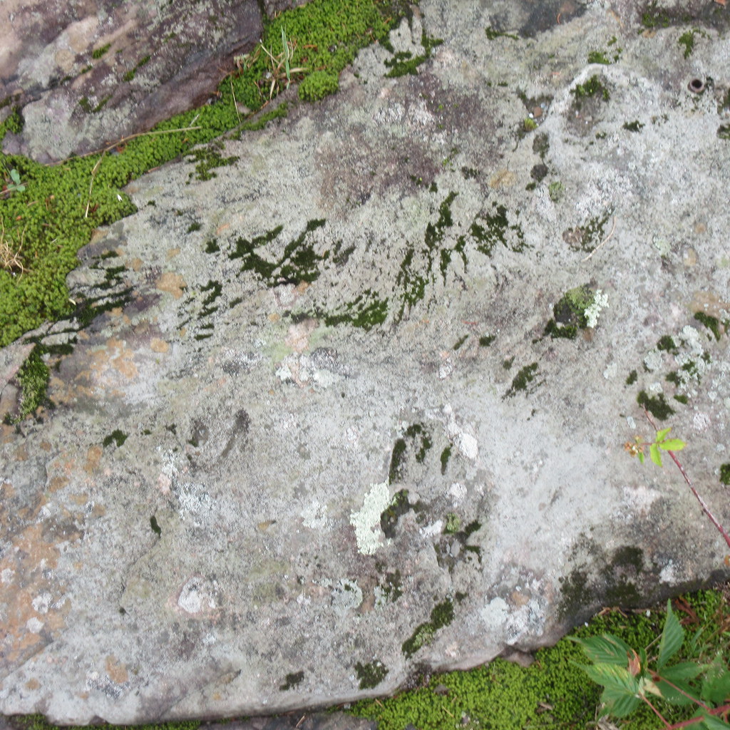 IMG_5057 Légende des griffes du diable, StLazaredeBelle… Flickr