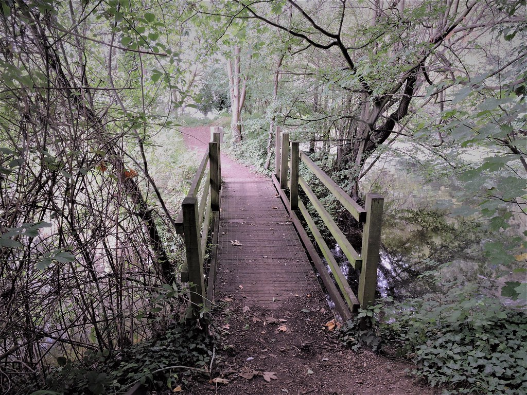 Radley Lakes and Abingdon 20th August 2017 Flickr