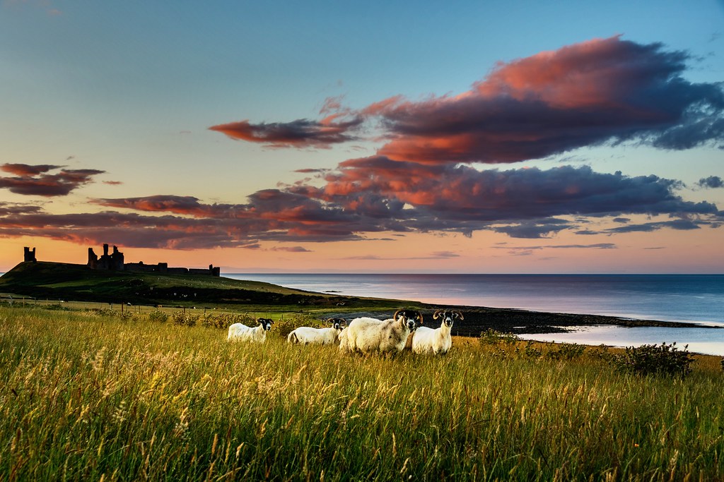 Meadow Riggs, Alnwick NE66 1AP イギリス日の出日の入り時間