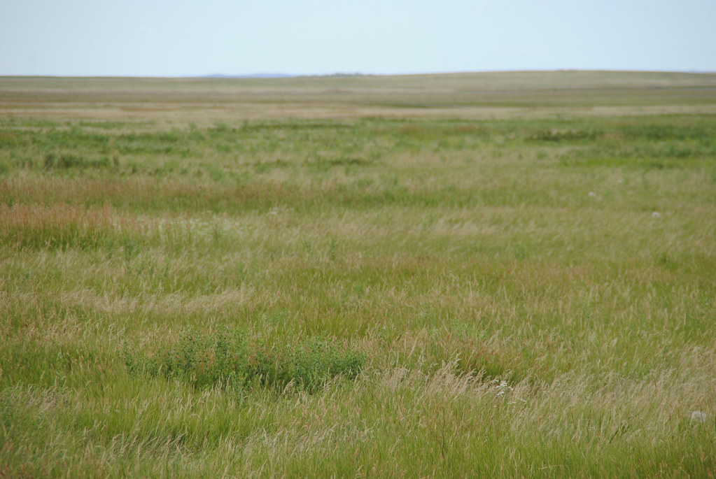 Ft Pierre Grasslands A few hours in Stanley and Lyman Coun… Flickr
