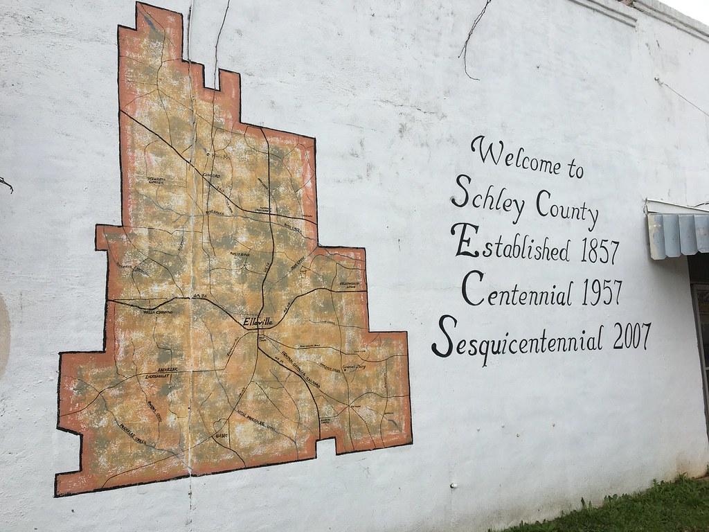 20200221 16 Ellaville, David Wilson Flickr