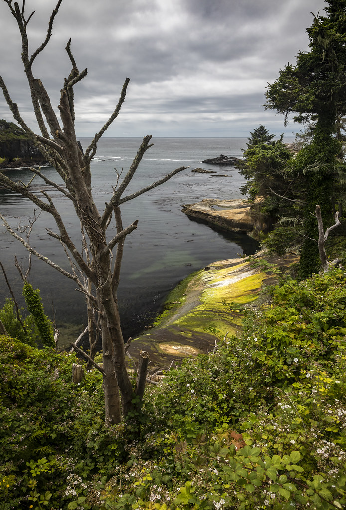 Depoe Bay Along the Oregon coast. Steve Johnson Flickr