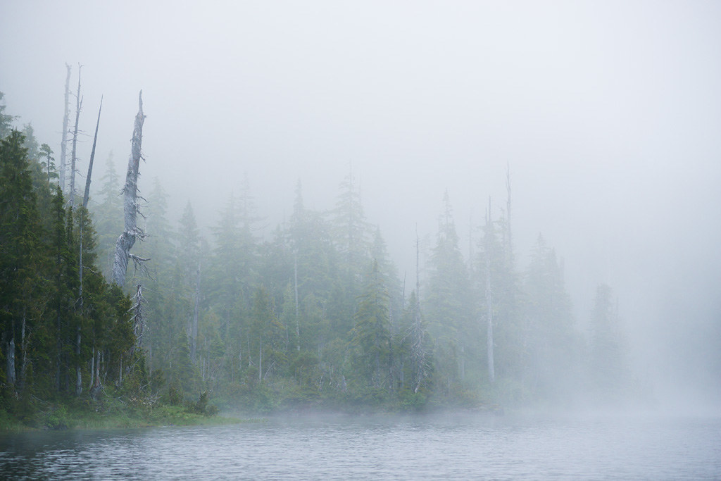 Wye Lake A cold misty summer day at Wye lake in the sub al… Flickr