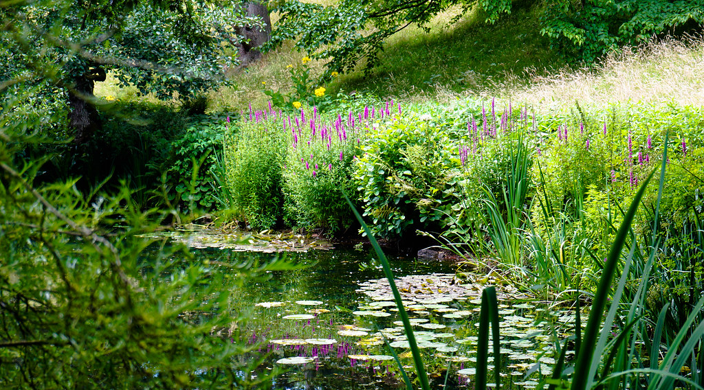 Lily Pond Reflections Powis Castle (NT) Welshpool, Wales, … Flickr