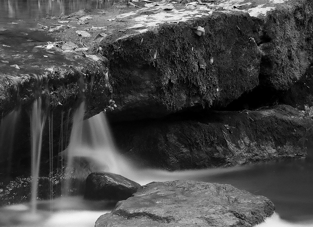 At the edge 000037300014 Nine Mile Creek Marcellus, NY C… Flickr