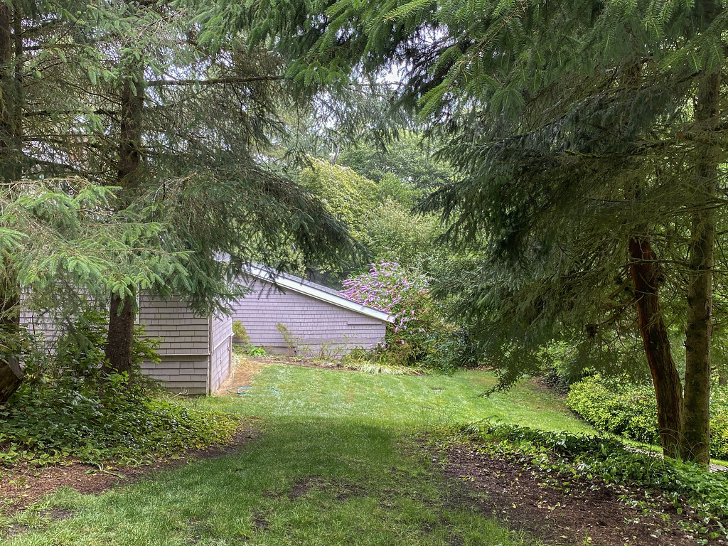 The Old House Ocean Park, Washington. A.Davey Flickr