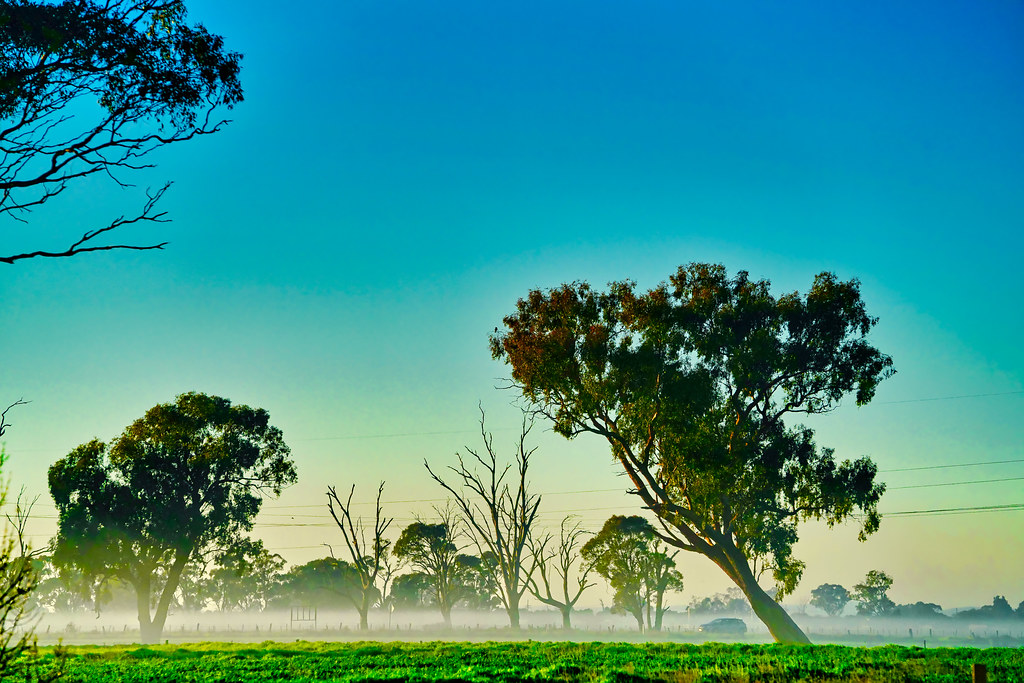 Kyabram Sunset by Sony A7RIV + FE 70200mm f2.8 GM Flickr