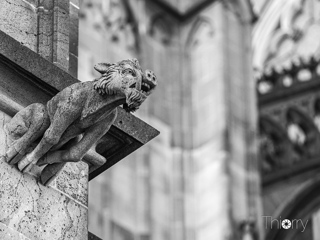 Vieux Bouc Thierry MÉRITAN Flickr