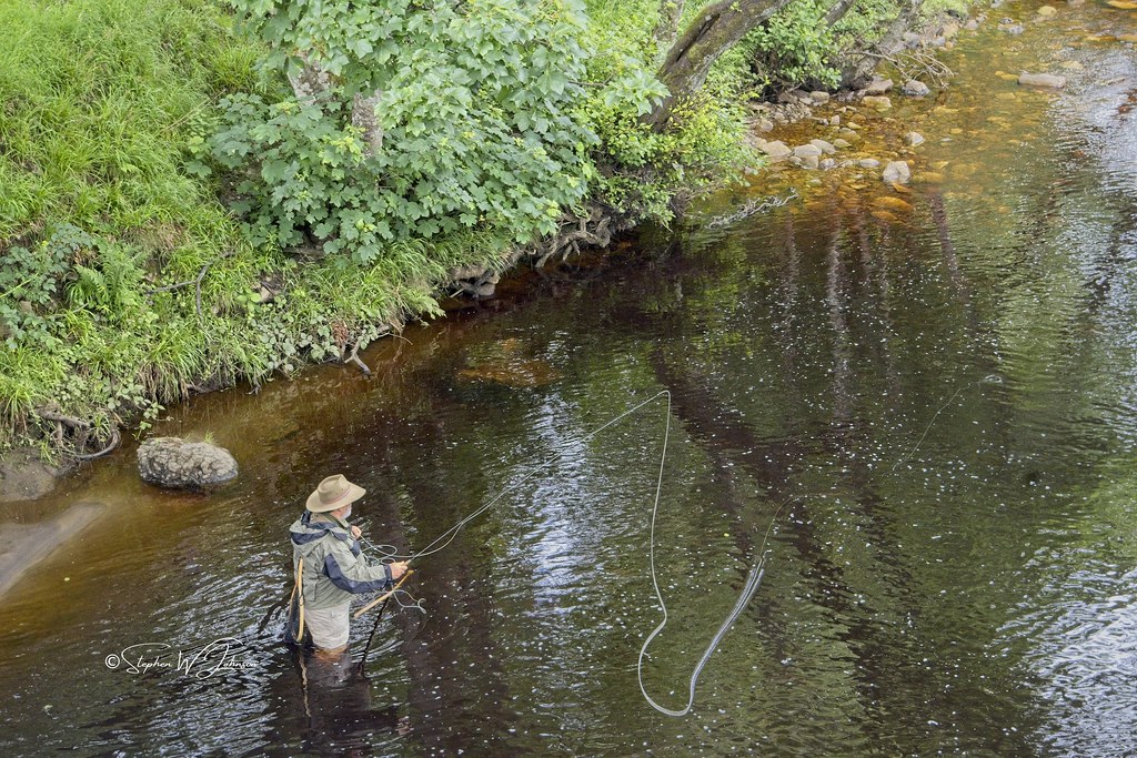 Z50_0994 Flying on The Swale Fly fishing on the River Sw… Flickr