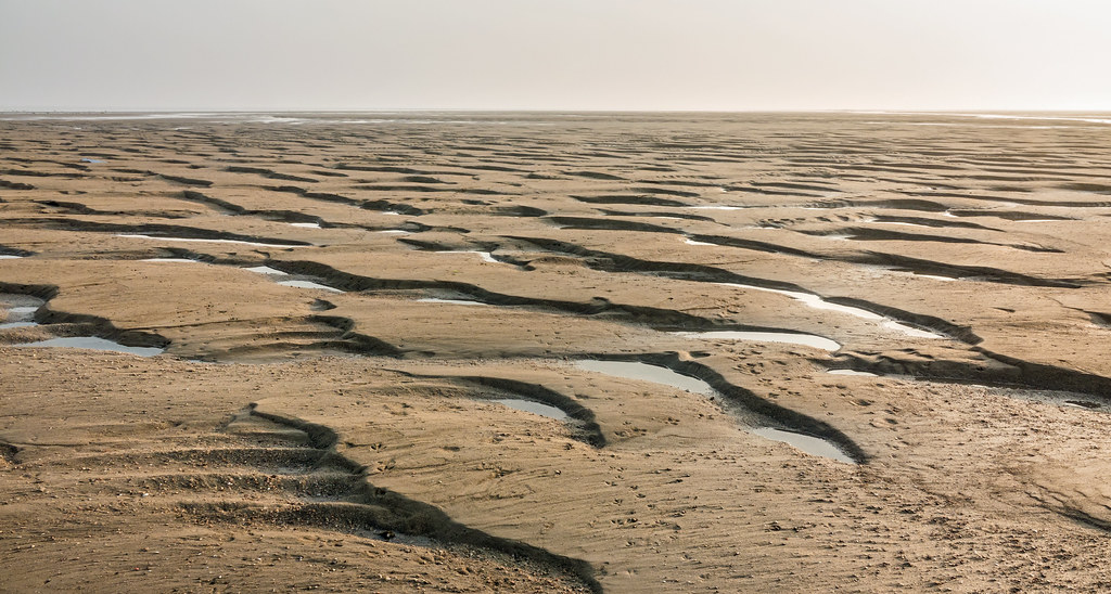 sand ripples Marine National Park (Gulf of Kutch), India… Flickr