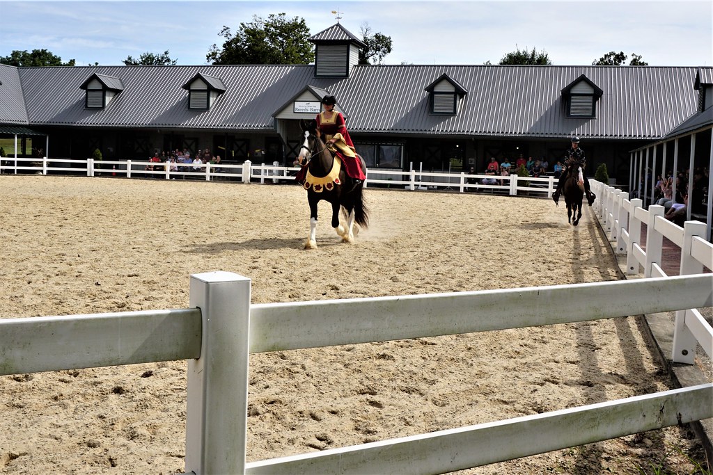 DogFriendly Kentucky Horse Park, Lexington, K.Y., Aug. 20… Flickr