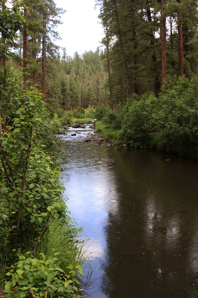 Black River Arizona 8218 Arizona, East Fork Black Rive… Flickr
